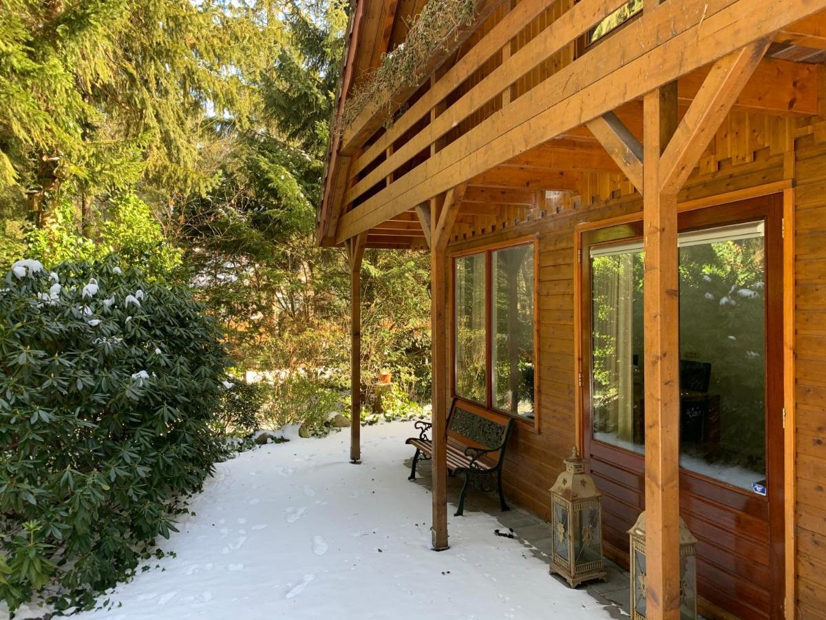 'T Holten Huus - Puur Genieten In Het Bos. Norg Exterior foto