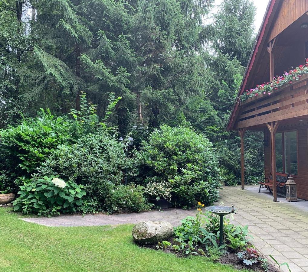 'T Holten Huus - Puur Genieten In Het Bos. Norg Exterior foto